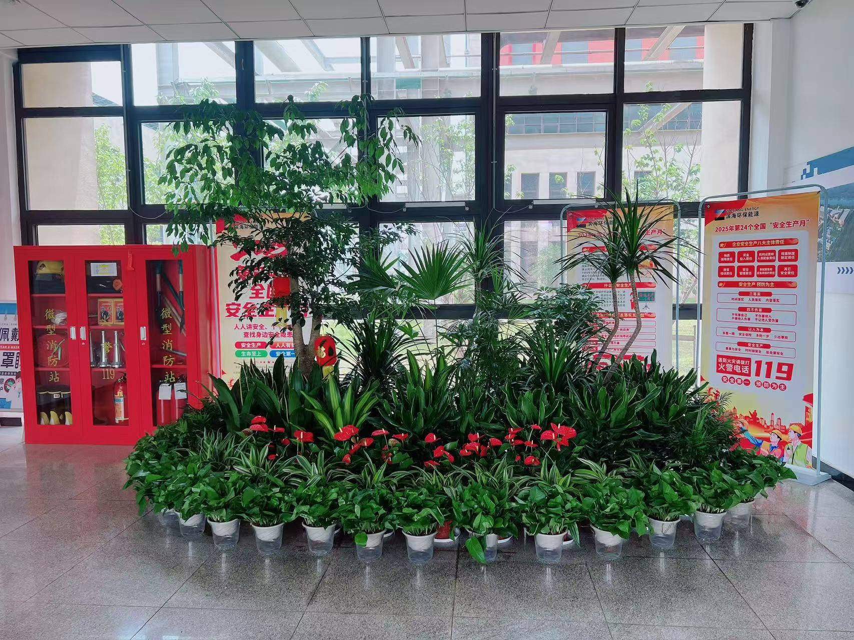 想找宁波北仑花木出租？这家或许是你的最佳选择！